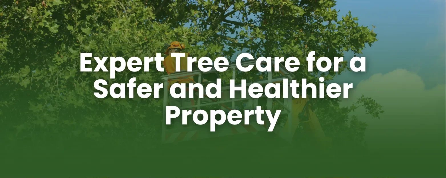 Tree service banner with text "Expert Tree Care for a Safer and Healthier Property" over an arborist in a lift.