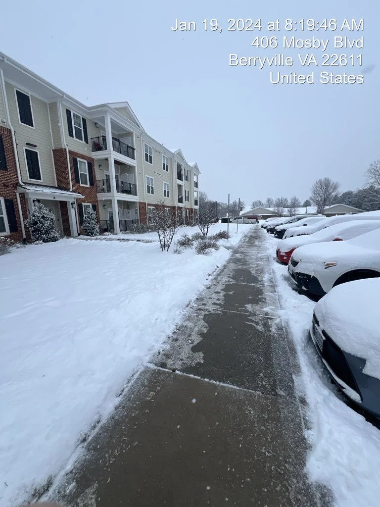 Service - snow removal sidewalks cleared robert regan location.JPG