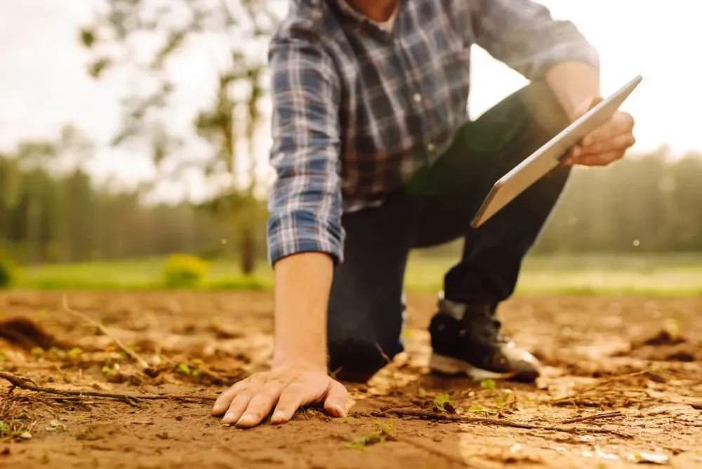 Lawn care professional kneeling on soil while checking digital tablet during a field assessment.