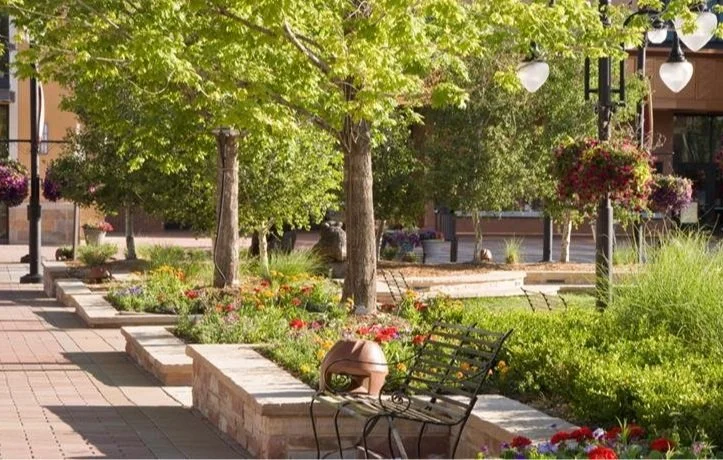 A sunlit plaza featuring stone planters with colorful flowers, leafy trees, and black metal benches along a brick walkway.