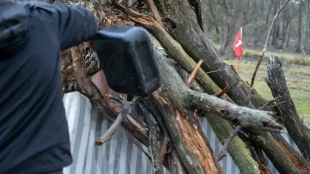 A person preparing a large pile of fallen tree branches and logs for controlled burning and yard cleanup.