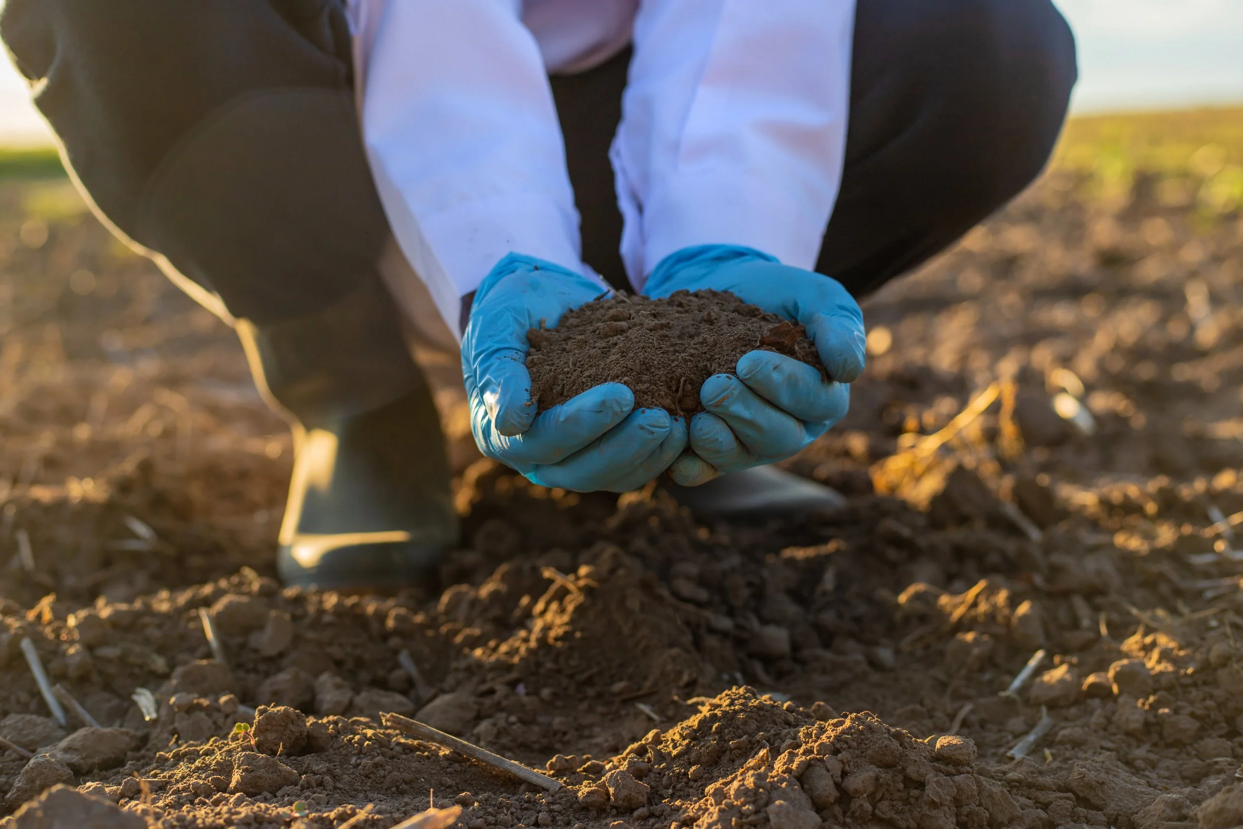 A person in a white lab coat and blue gloves scoops up a handful of rich soil in a plowed field.