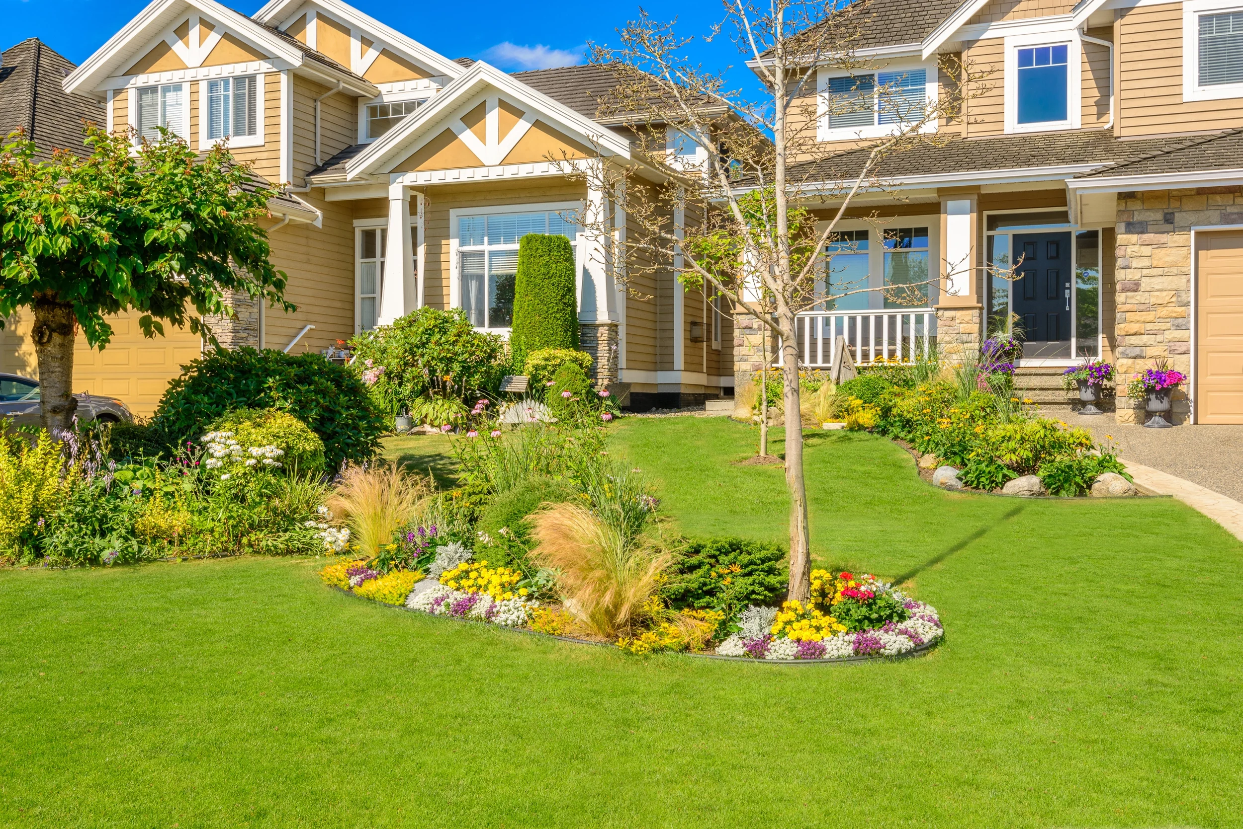 A beautiful suburban home featuring a lush, manicured green lawn and vibrant garden beds with colorful flowers and ornamental grasses on a sunny day.