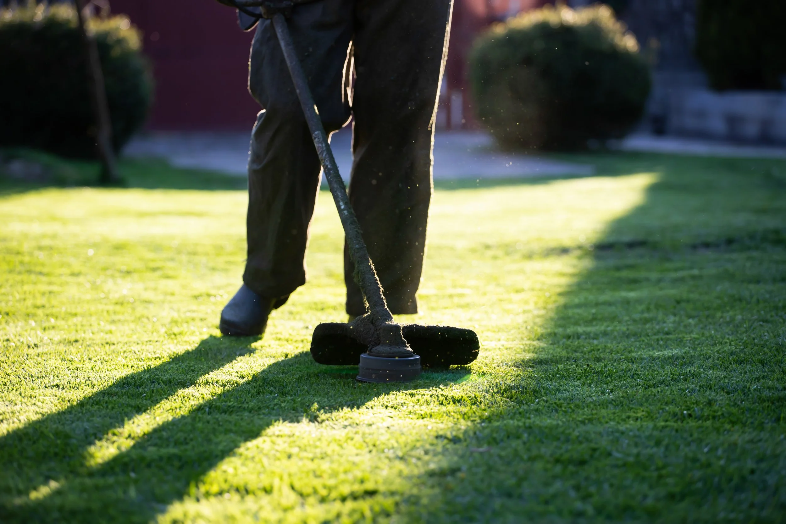 A person uses a string trimmer to edge a vibrant green lawn during a sunlit afternoon.