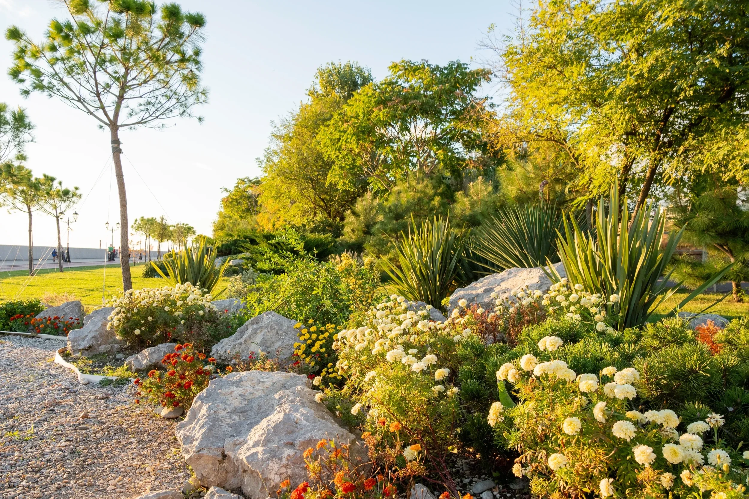 A professionally landscaped rock garden featuring drought-tolerant plants, white flowers, and decorative boulders.