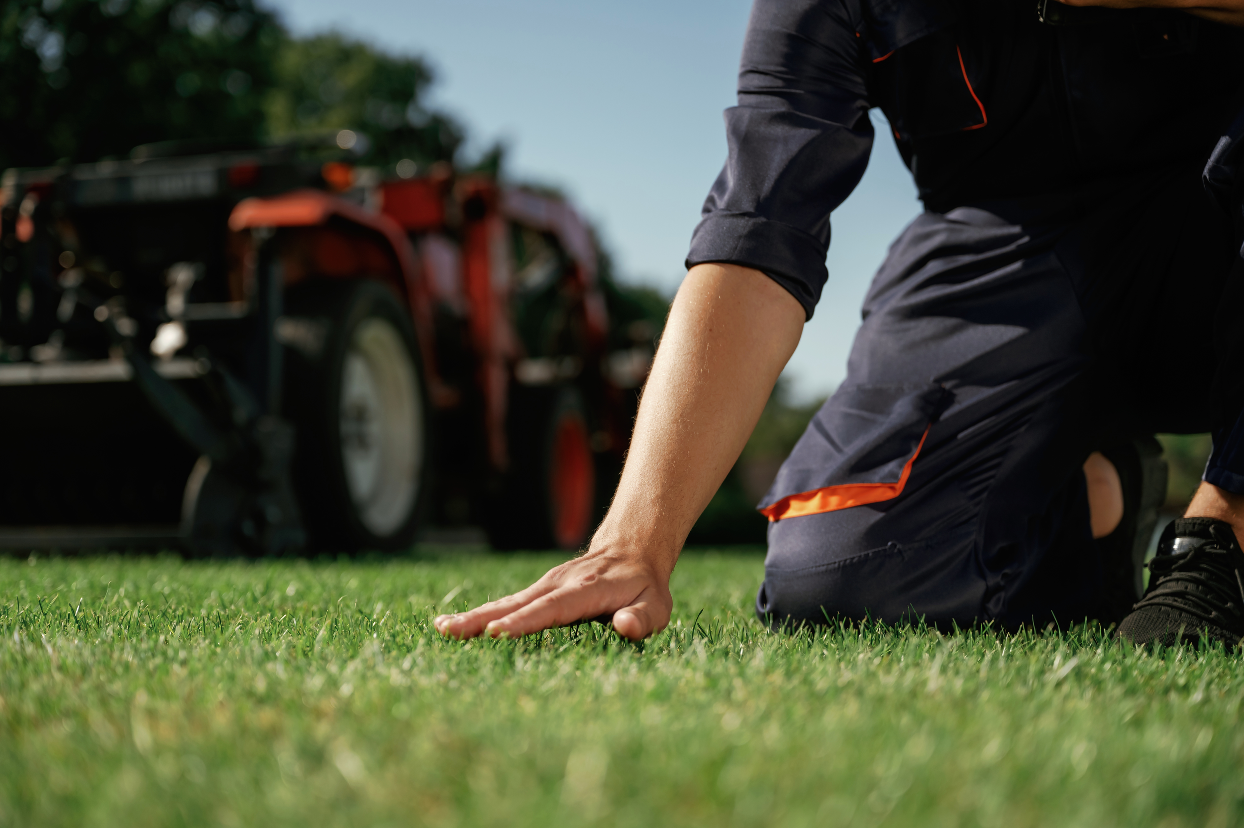 Close-up of a landscaper's hand touching healthy green turf, with professional mowing equipment blurred in the background.