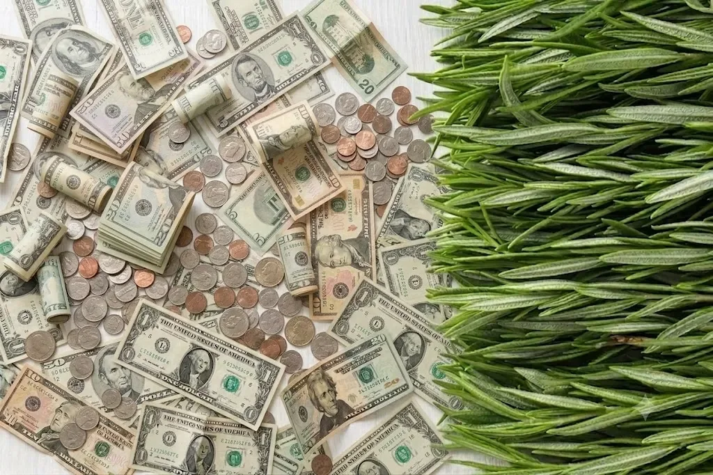 US dollar bills and coins scattered next to fresh green grass representing lawn care investment and savings.