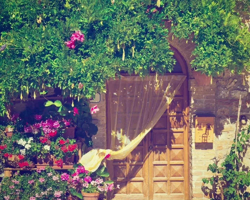 Rustic wooden door of a stone house framed by lush green vines and colorful pink potted flowers.