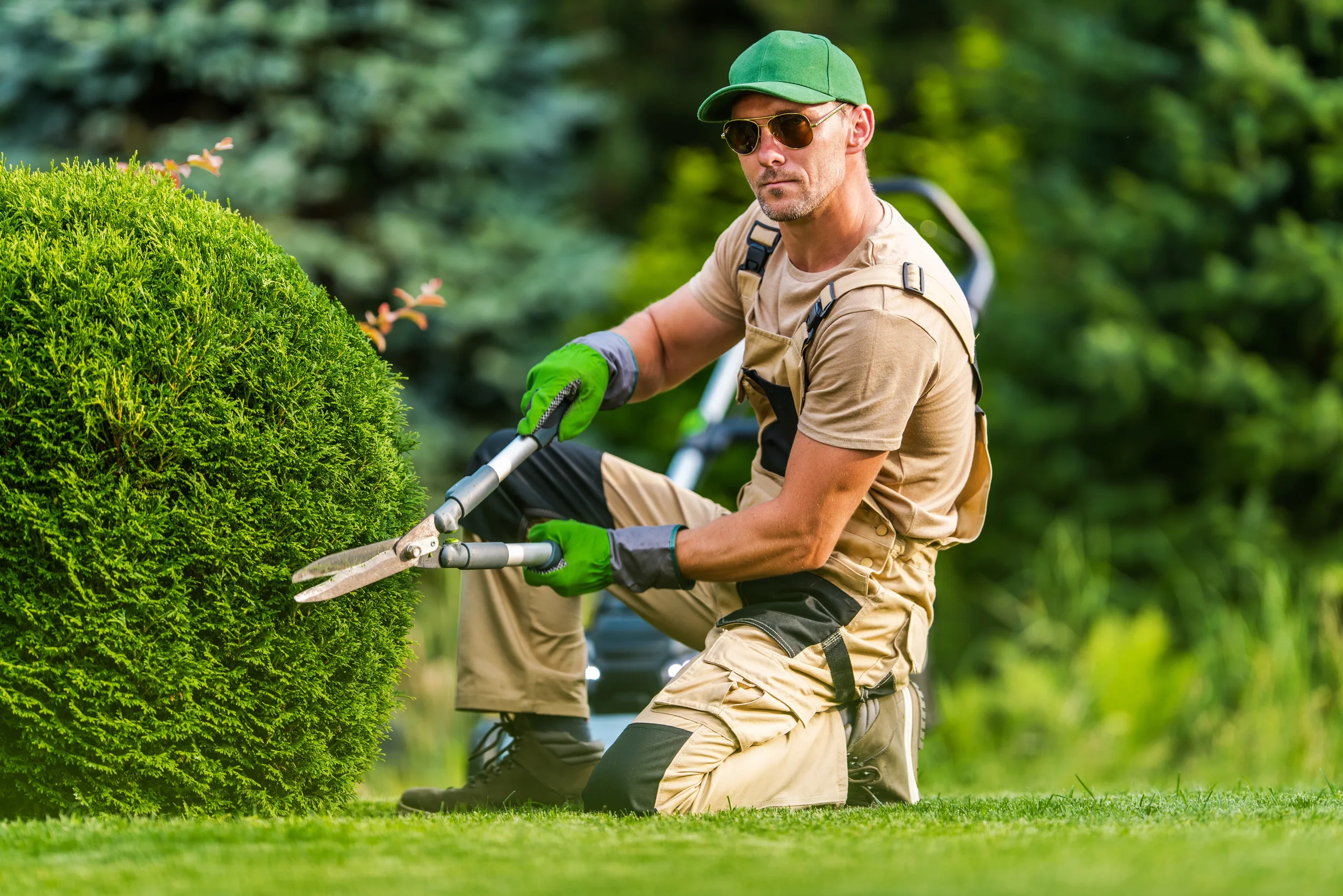 gardener-trims-lush-green-shrub-in-a-vibrant-outdo-2026-03-25-08-23-15-utc.webp