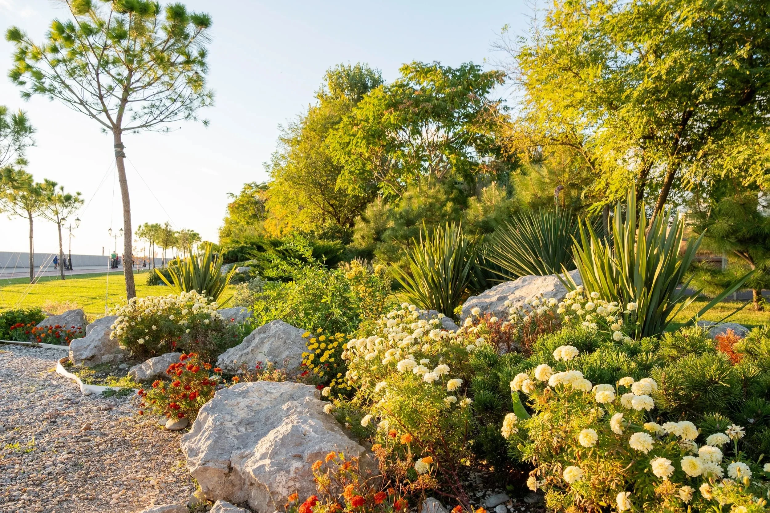 Urban flower bed featuring colorful marigolds, decorative boulders, and lush green trees in a sunny public park.