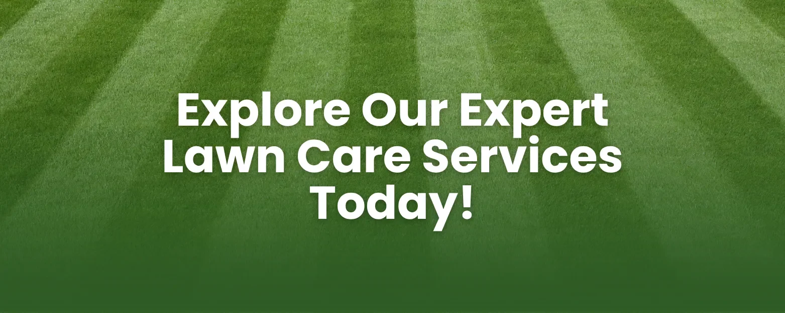 Website banner with text "Explore Our Expert Lawn Care Services Today!" over a striped green turf background.