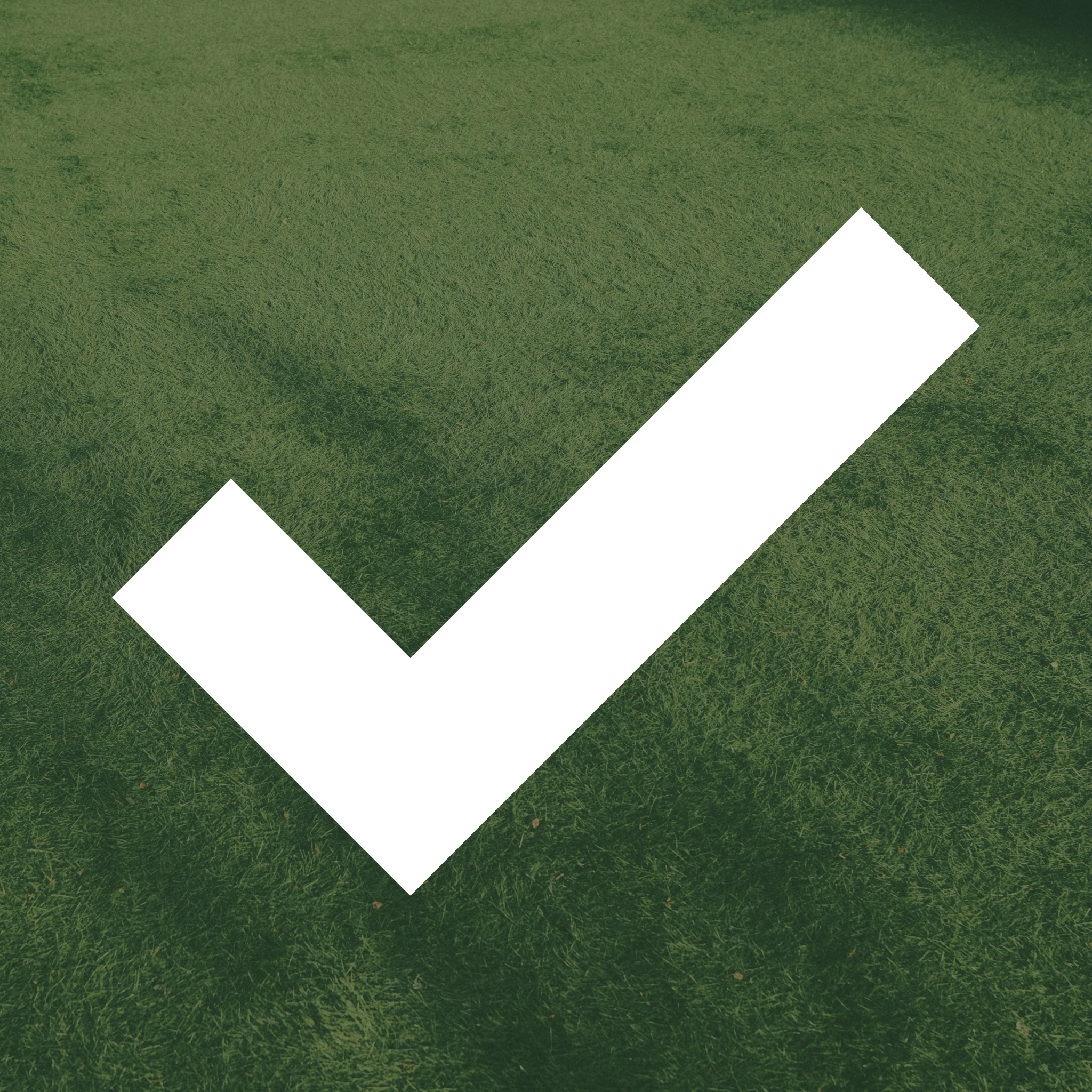 Small green square icon with a white checkmark.