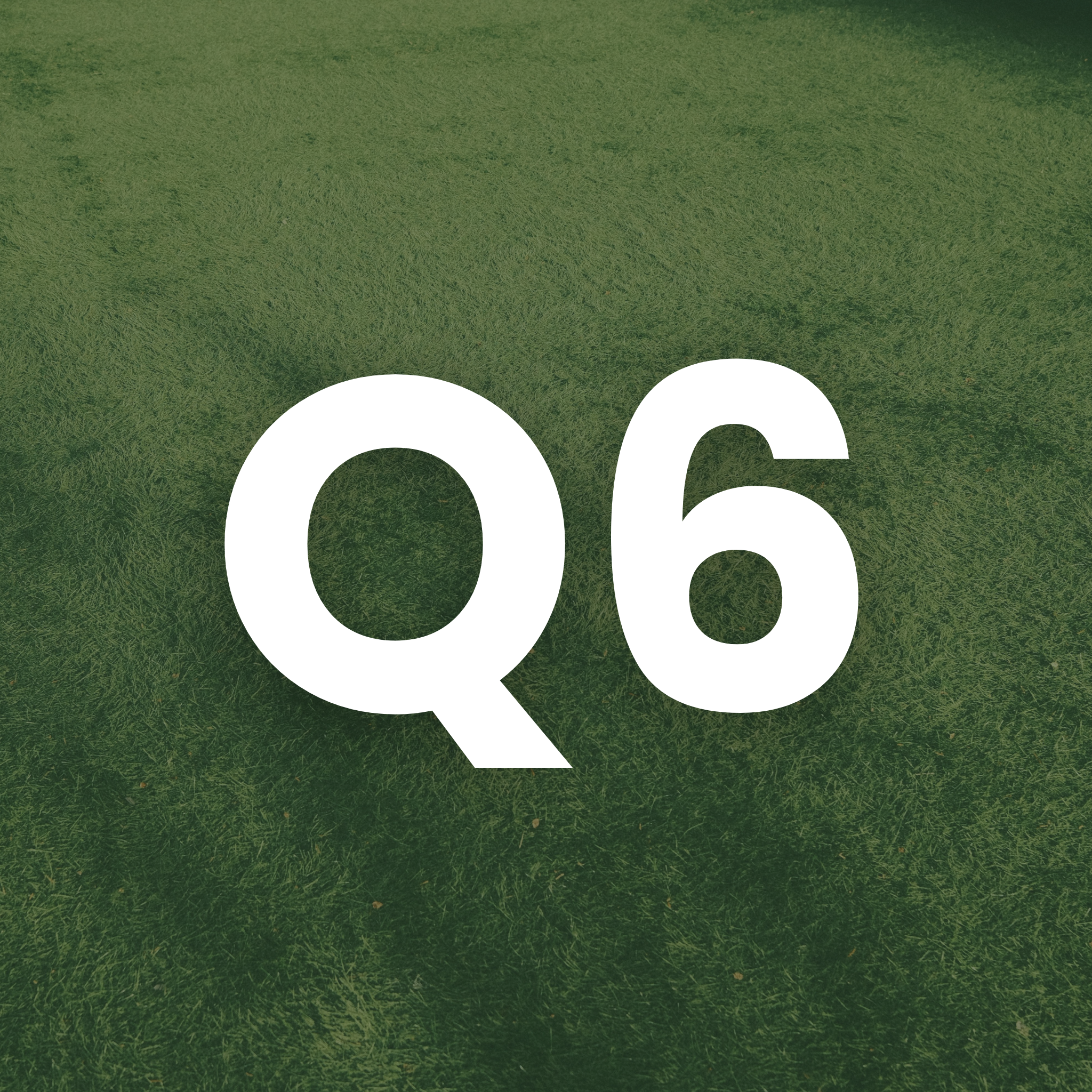 A small square green icon with the white text "Q6".