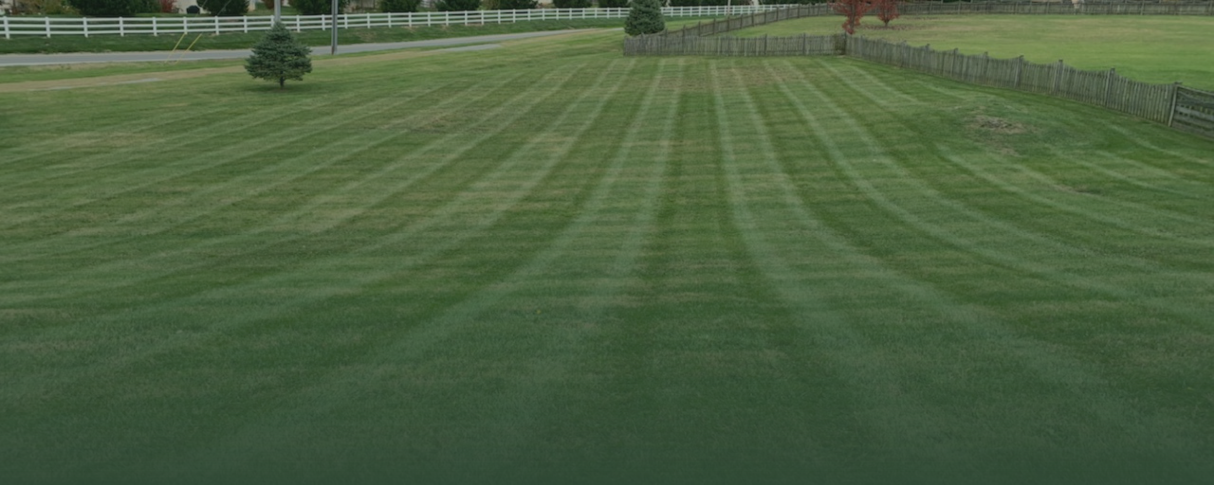 website (728 x 90 px) (11).png