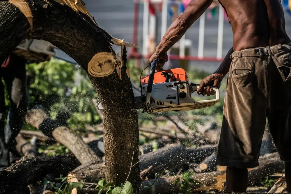 Close-up of a worker using a chainsaw to cut down a thick tree branch, showing wood chips spraying in the air.