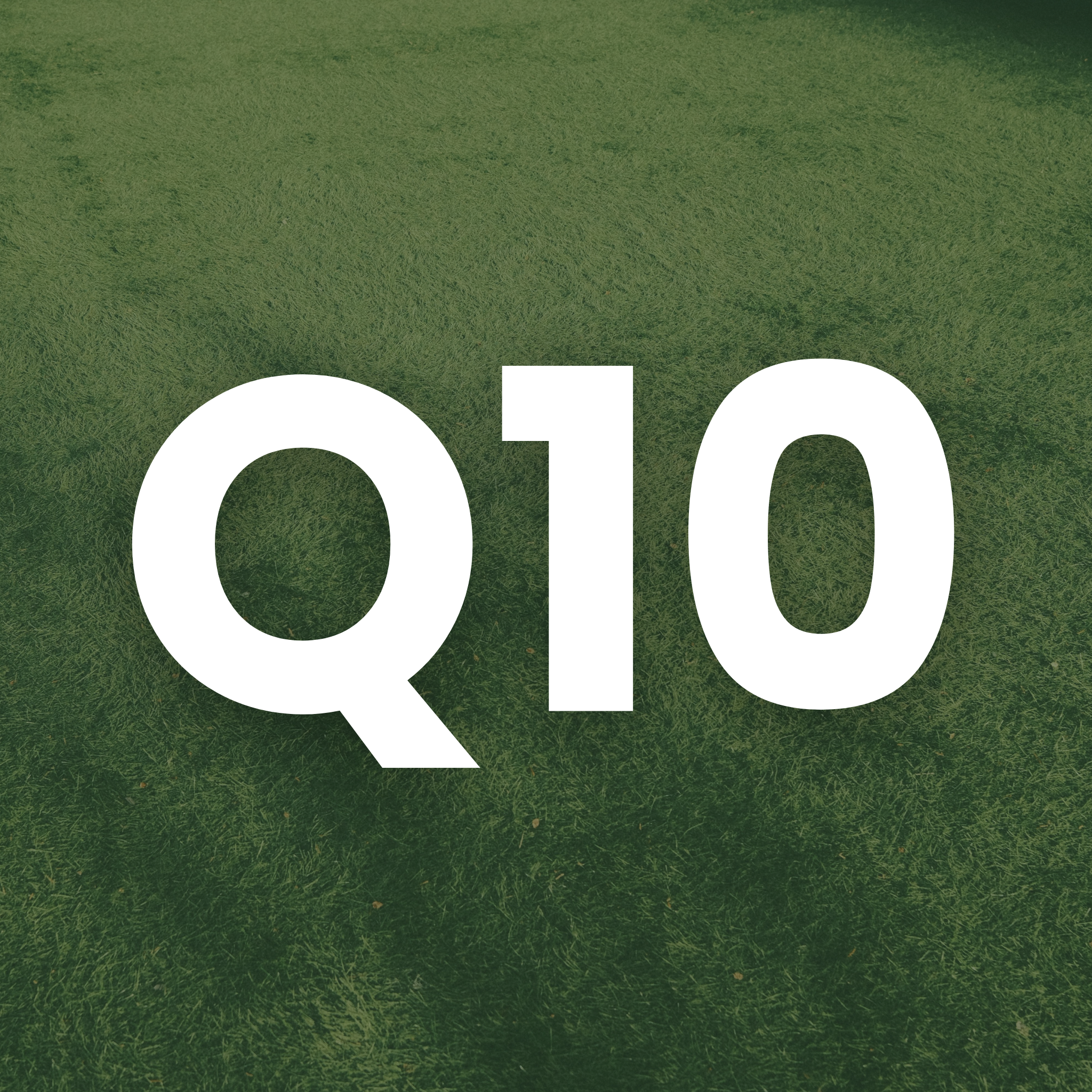 A small square icon featuring the white text "Q1" set against a blurred background of a green lawn.