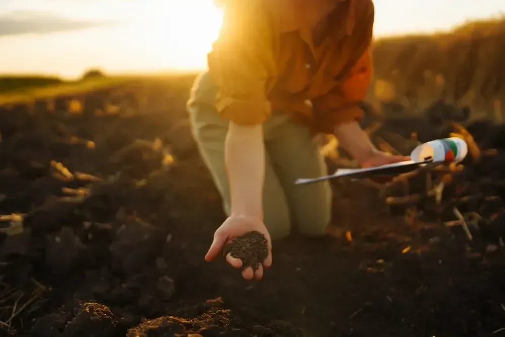 Professional holding a handful of dark soil during an on-site testing and quality evaluation.