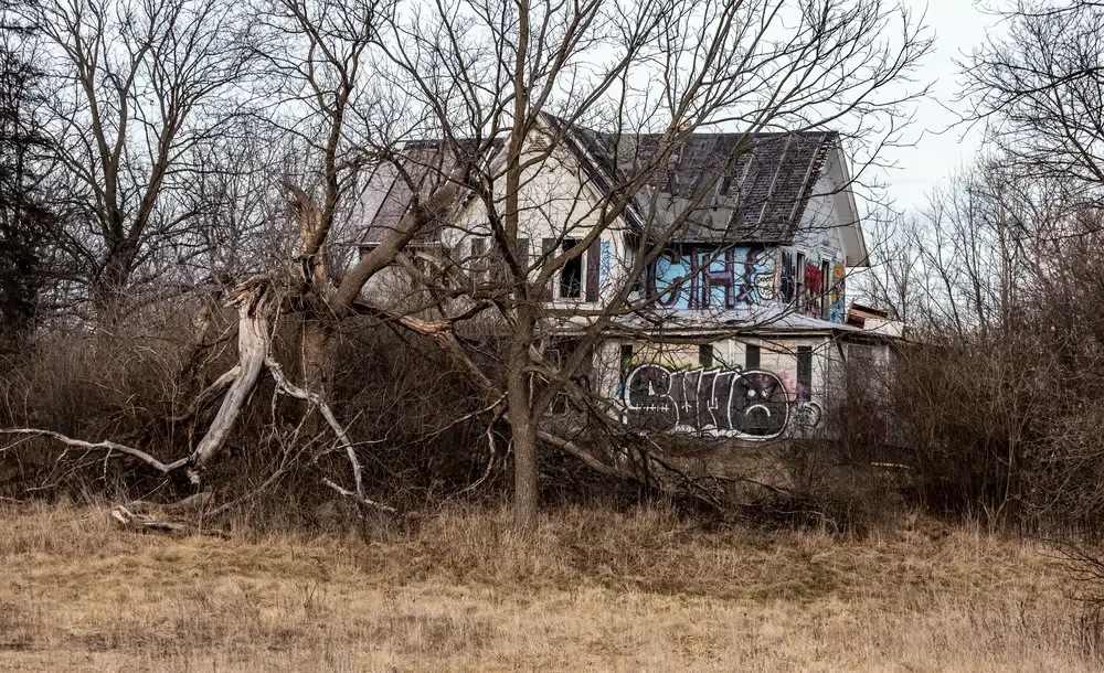 A large, dead fallen tree leaning toward an abandoned, graffiti-covered house needing lot clearing services.