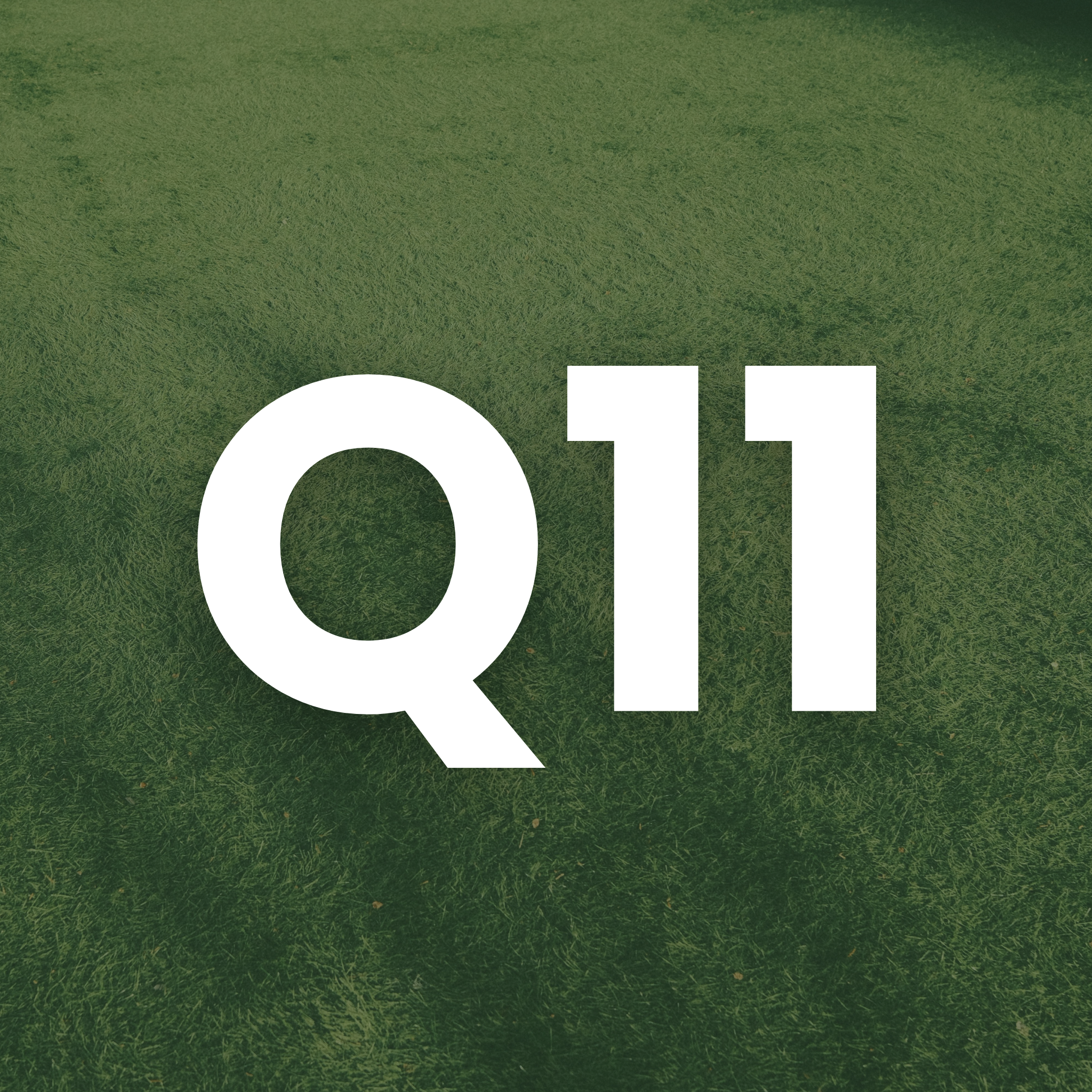A small square icon featuring the white text "Q1" set against a blurred background of a green lawn.