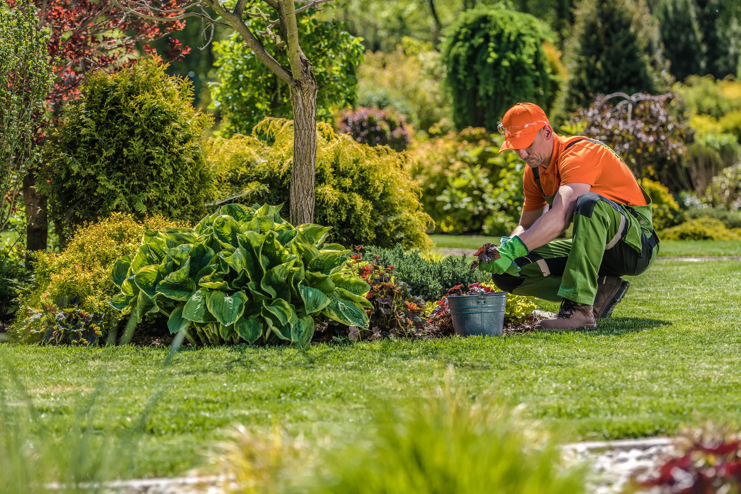 professional-garden-worker-2026-03-24-00-32-15-utc.webp