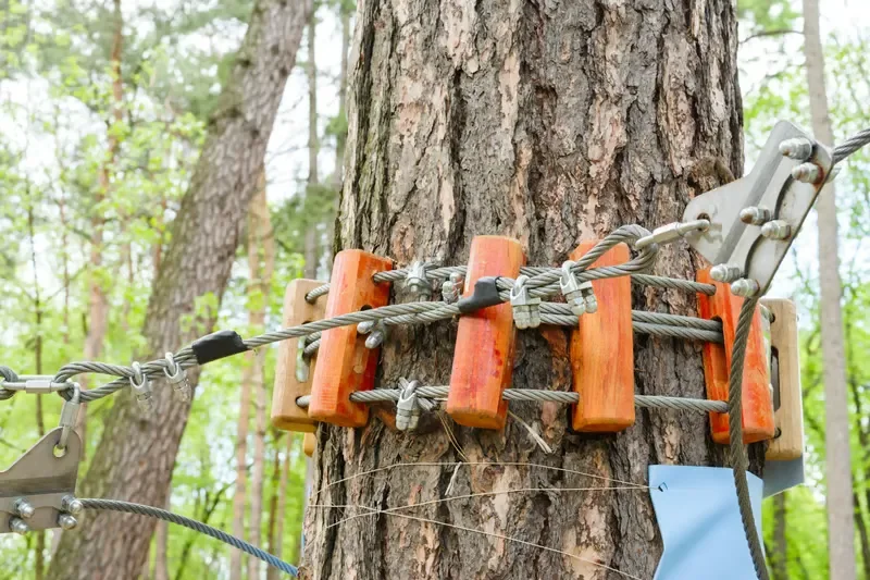 Steel cables secured to a pine tree with wooden blocks and heavy-duty clamps for a treetop obstacle course.
