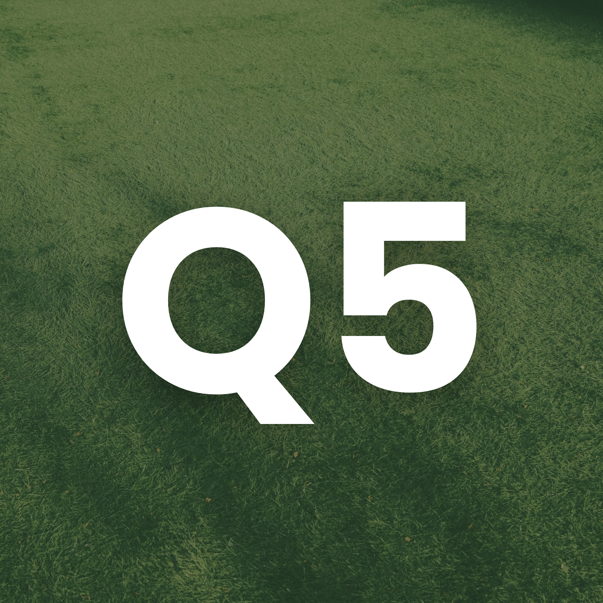 A small square green icon with the white text "Q5".