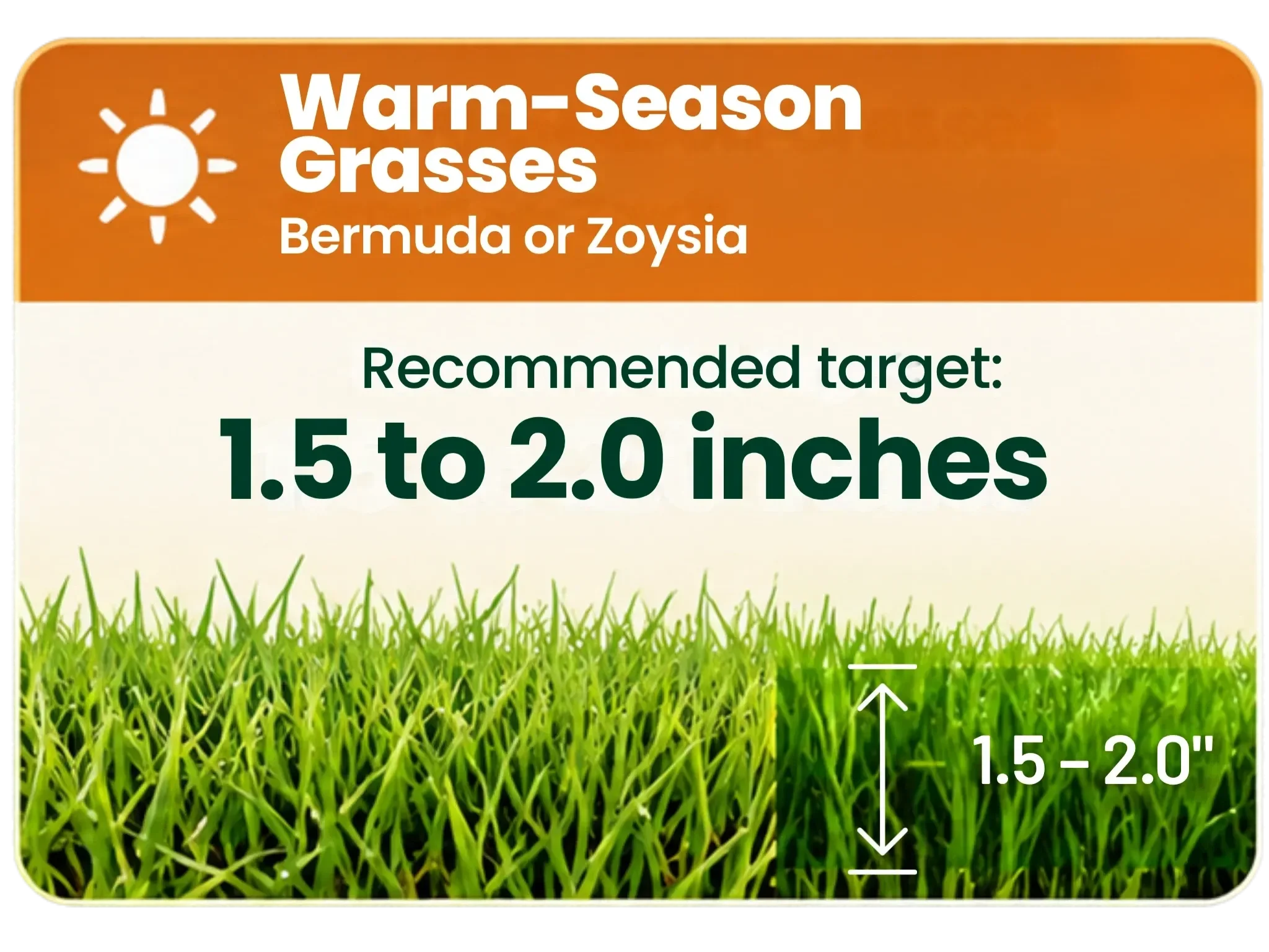 Infographic showing recommended mowing heights for cool season 2 to 2.5 inches and warm season grass 1.5 to 2.0 inches.