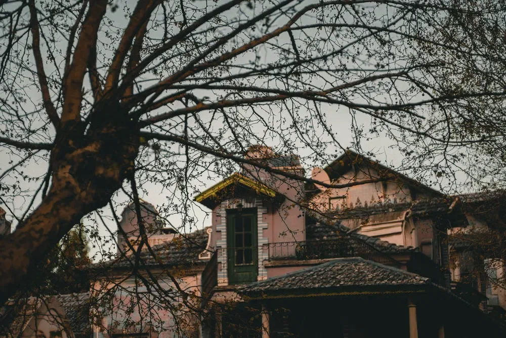 Overhanging tree branches growing close to a residential house roof, requiring professional pruning to prevent damage.