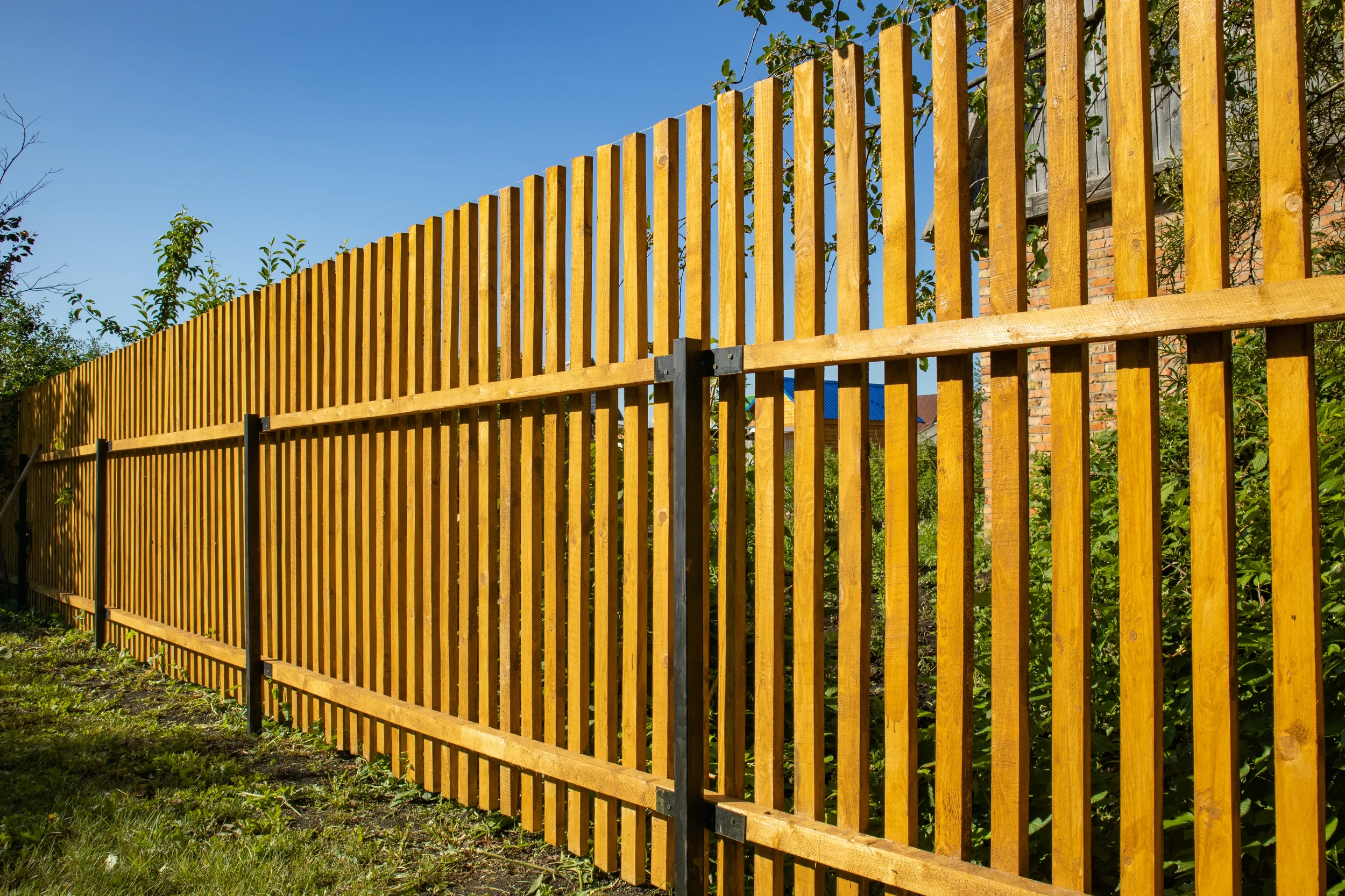 close-up-of-a-new-wooden-picket-fence-in-the-backy-2026-03-17-19-46-04-utc.webp