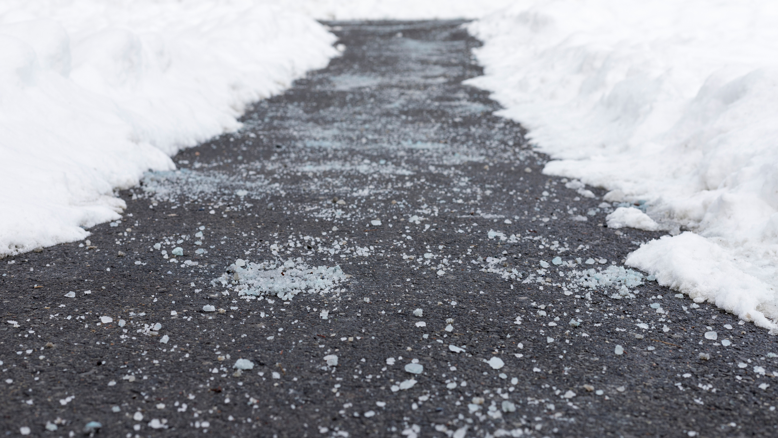 Clear asphalt walkway treated with rock salt and ice melt products to prevent slipping, bordered by piles of shoveled snow.
