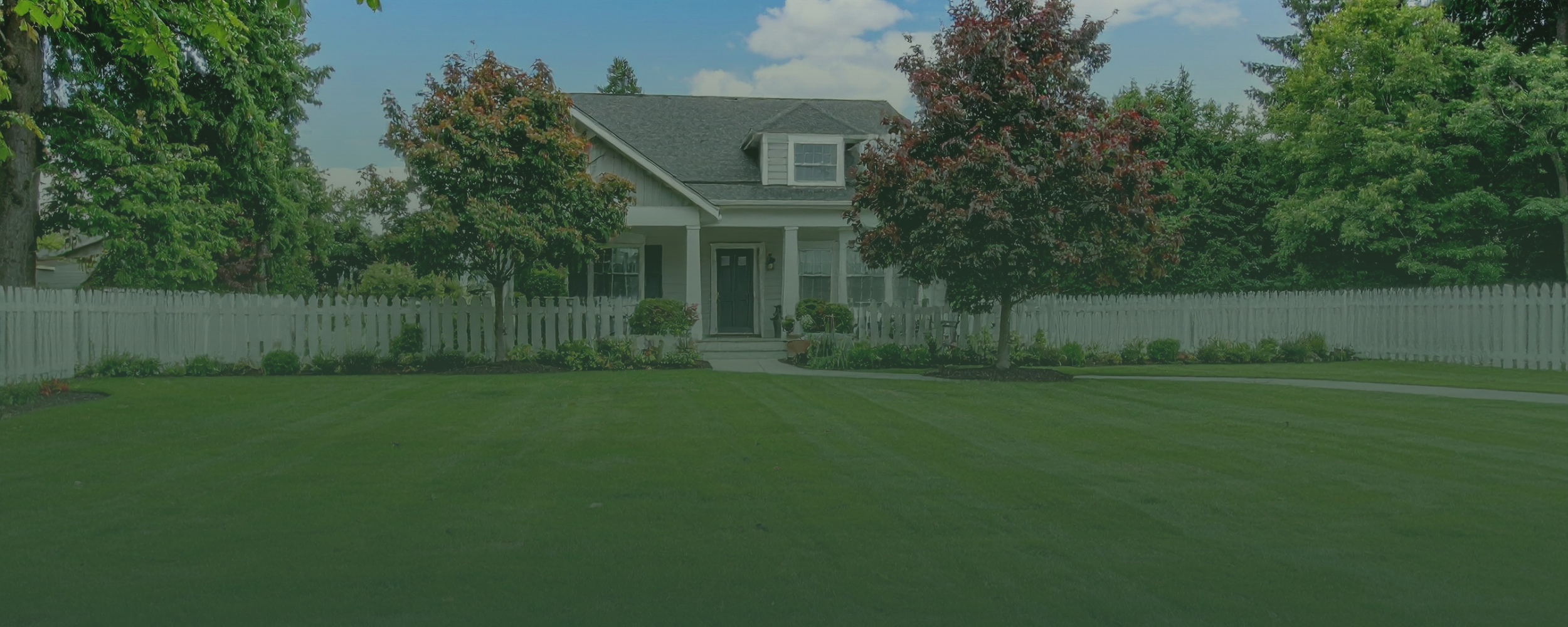 website (728 x 90 px) (1).png