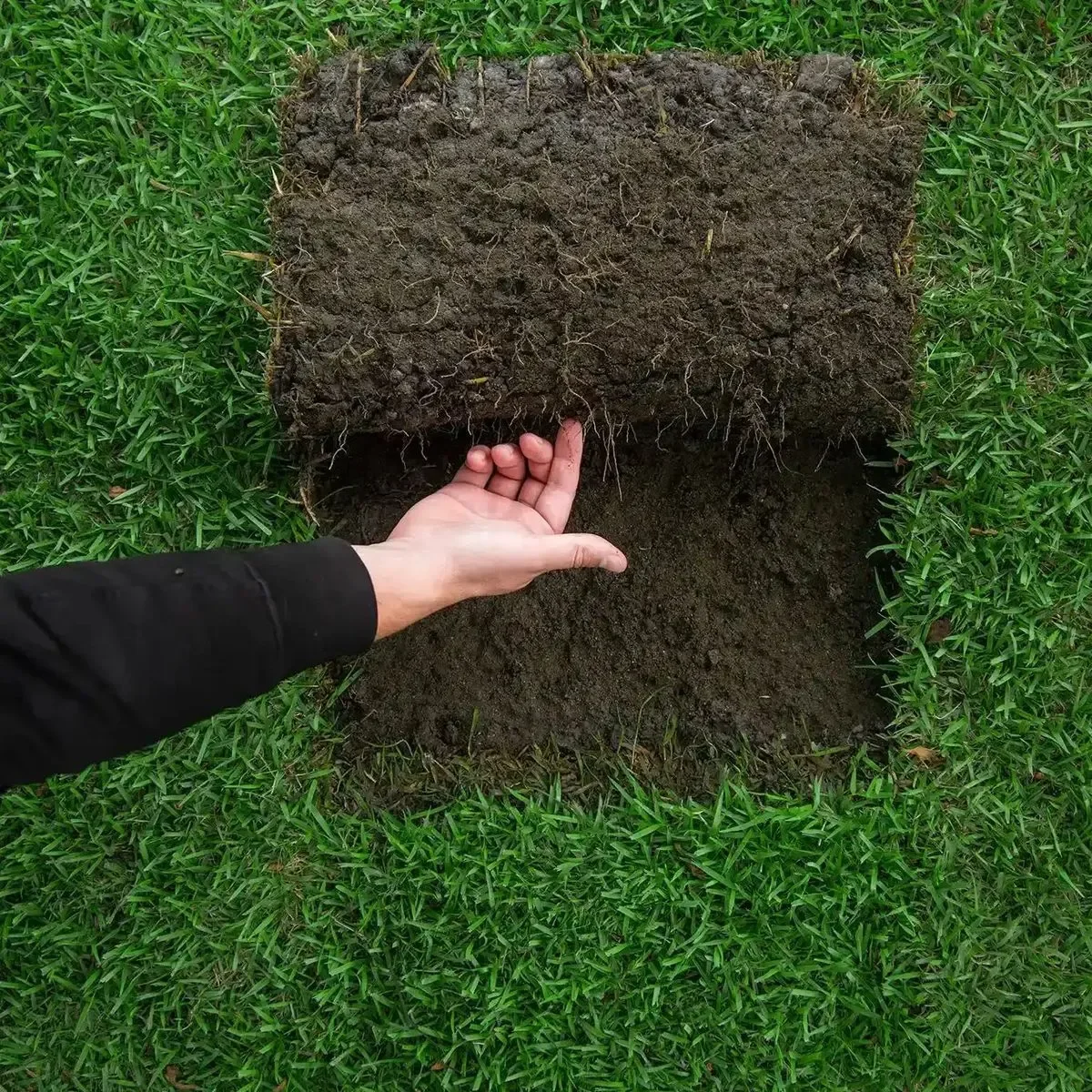 A hand inspecting the healthy root structure beneath a freshly lifted piece of green grass turf sod.