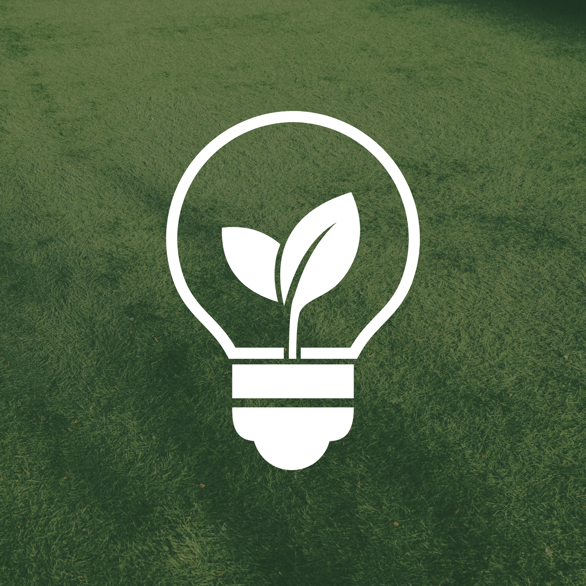 Small green square icon with a white outline of a sprout inside a lightbulb.