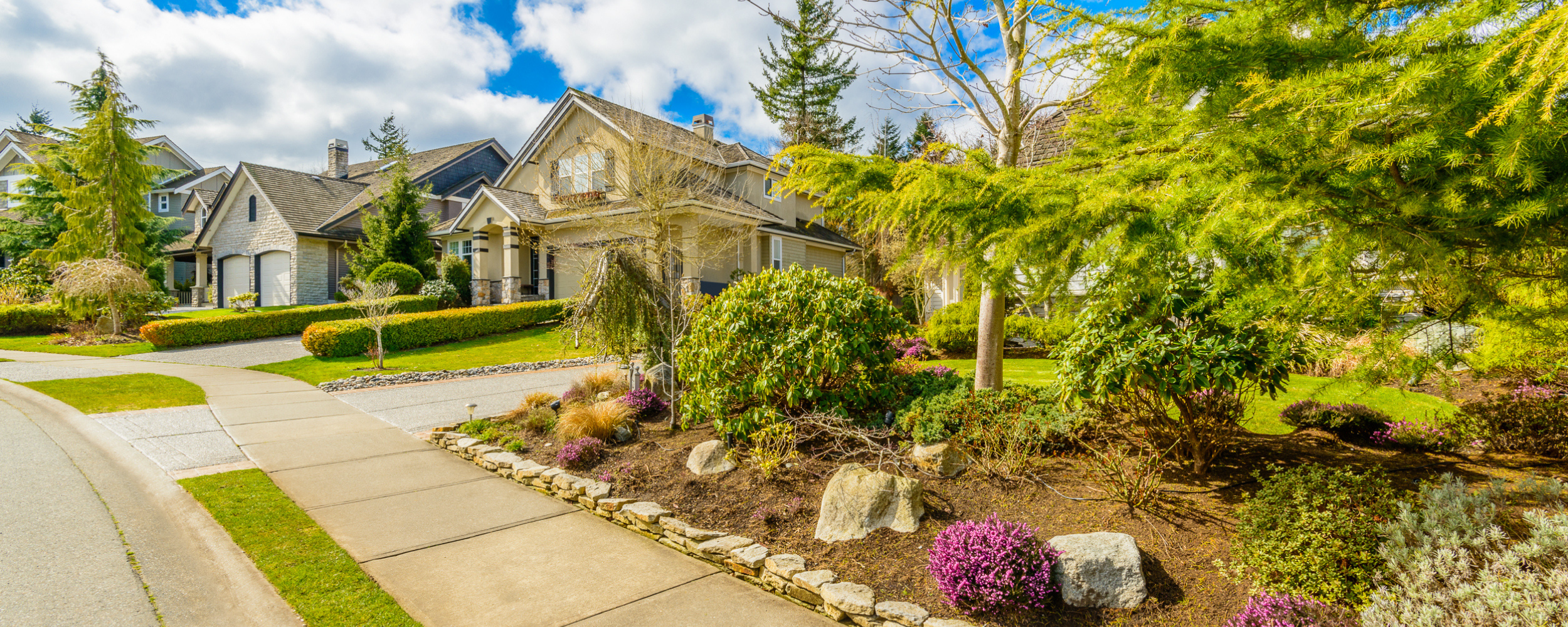 website (728 x 90 px) (6).png