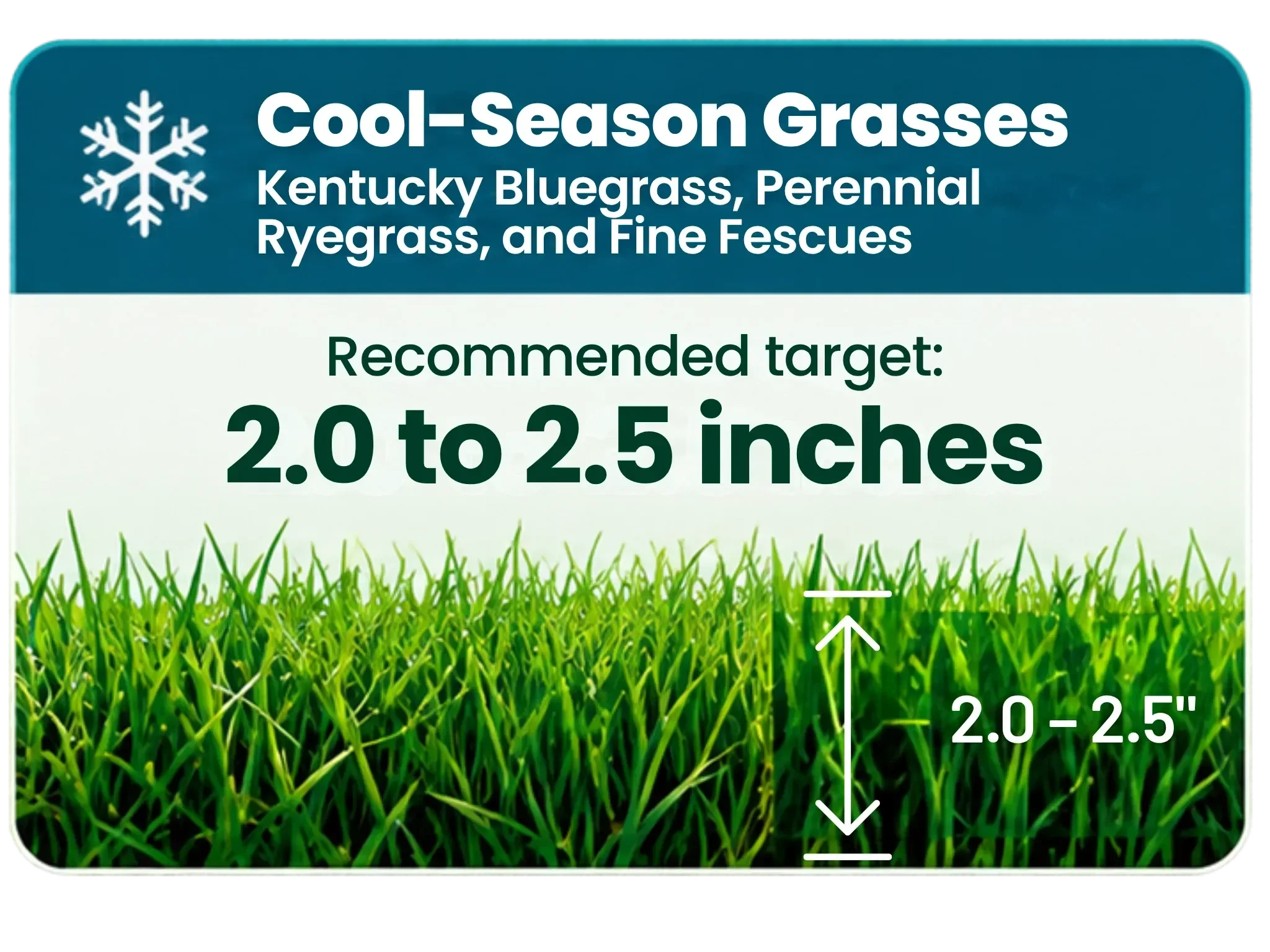 Infographic showing recommended mowing heights for cool season 2 to 2.5 inches and warm season grass 1.5 to 2.0 inches.