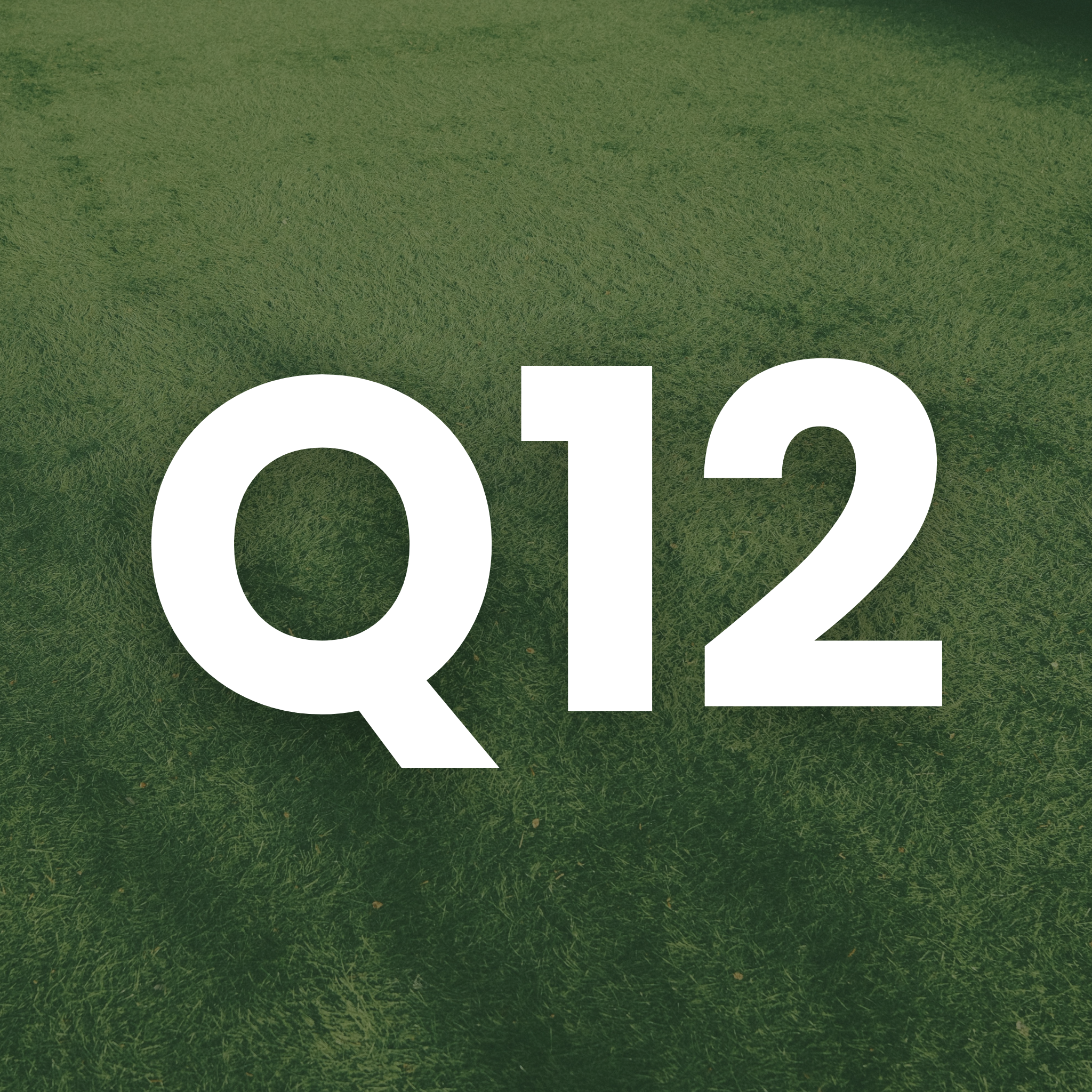 A small square icon featuring the white text "Q1" set against a blurred background of a green lawn.