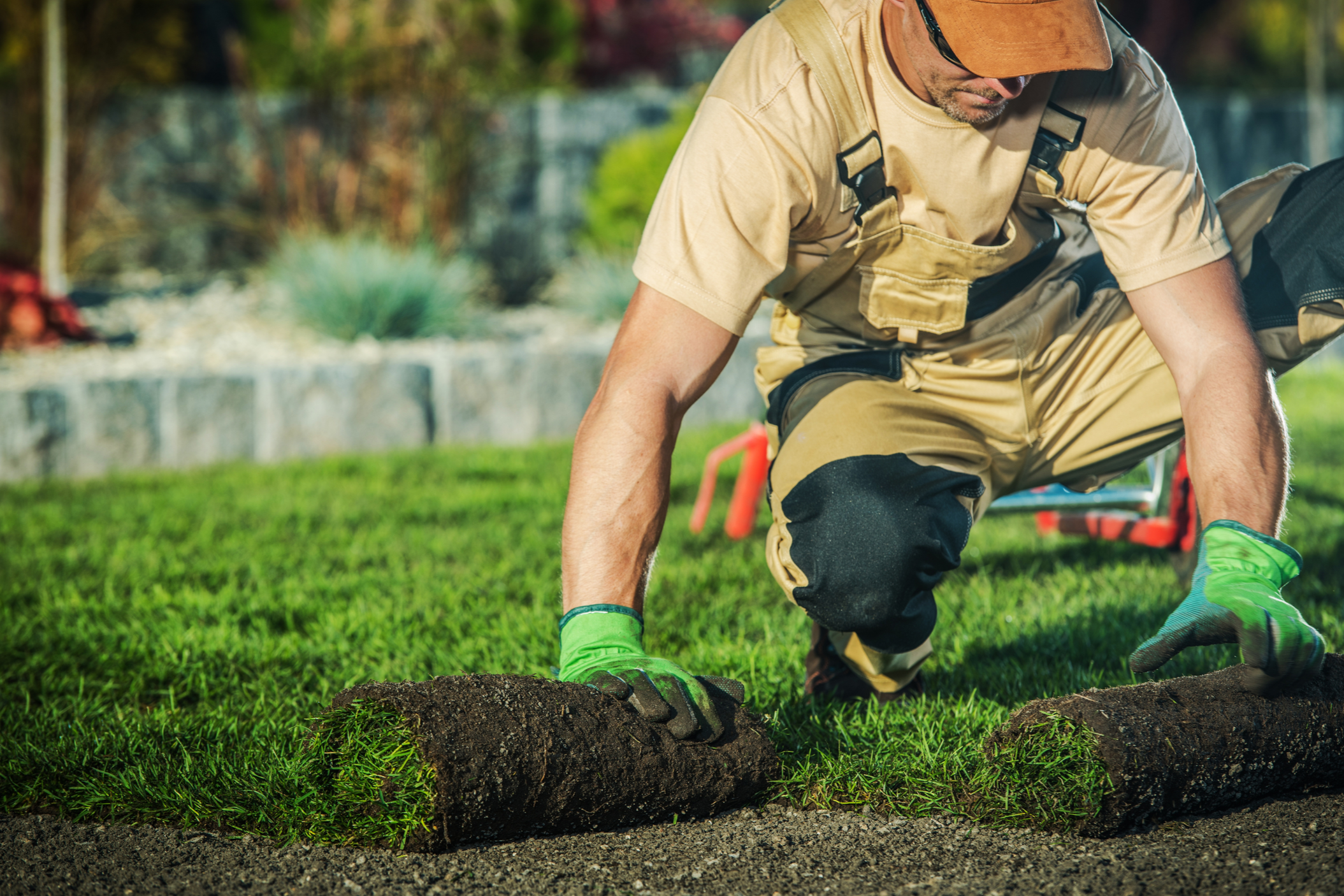 Landscaping professional installing sod in a residential yard.