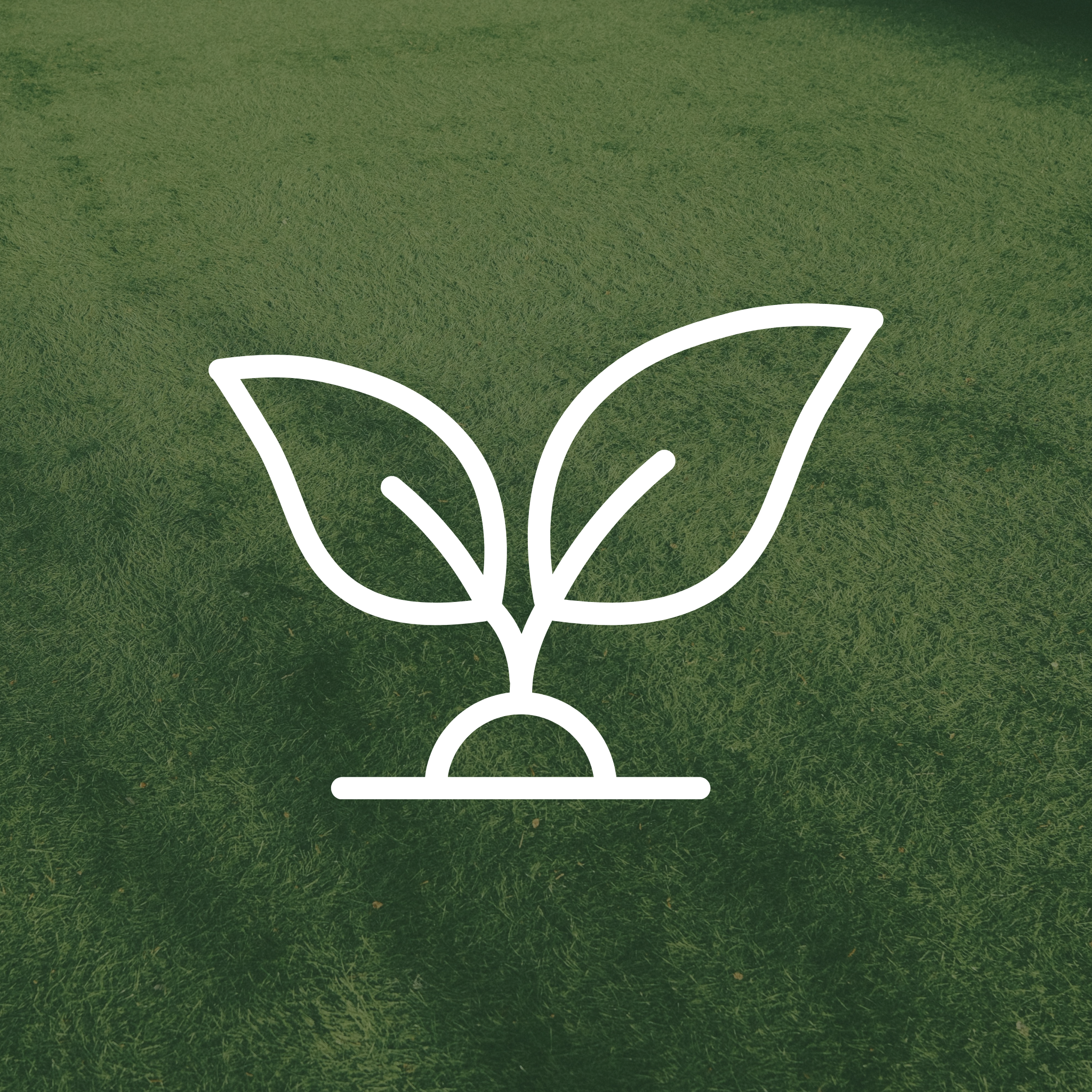 Small green square icon with a white outline of a two-leaf sprout.