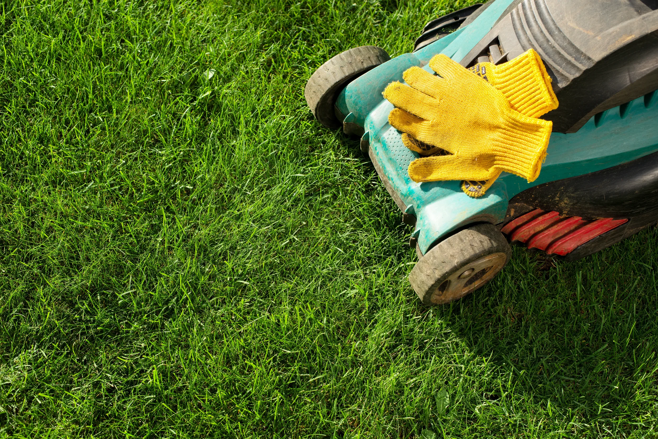 A green electric lawn mower with yellow protective work gloves resting on top of a freshly cut grass lawn.