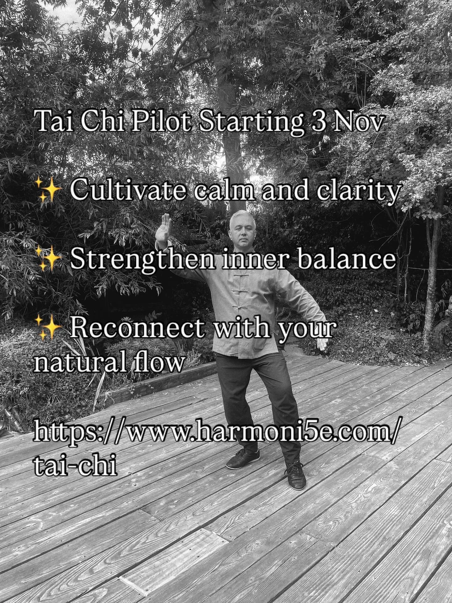 Book here https://www.harmoni5e.com/tai-chi #leamington_spa