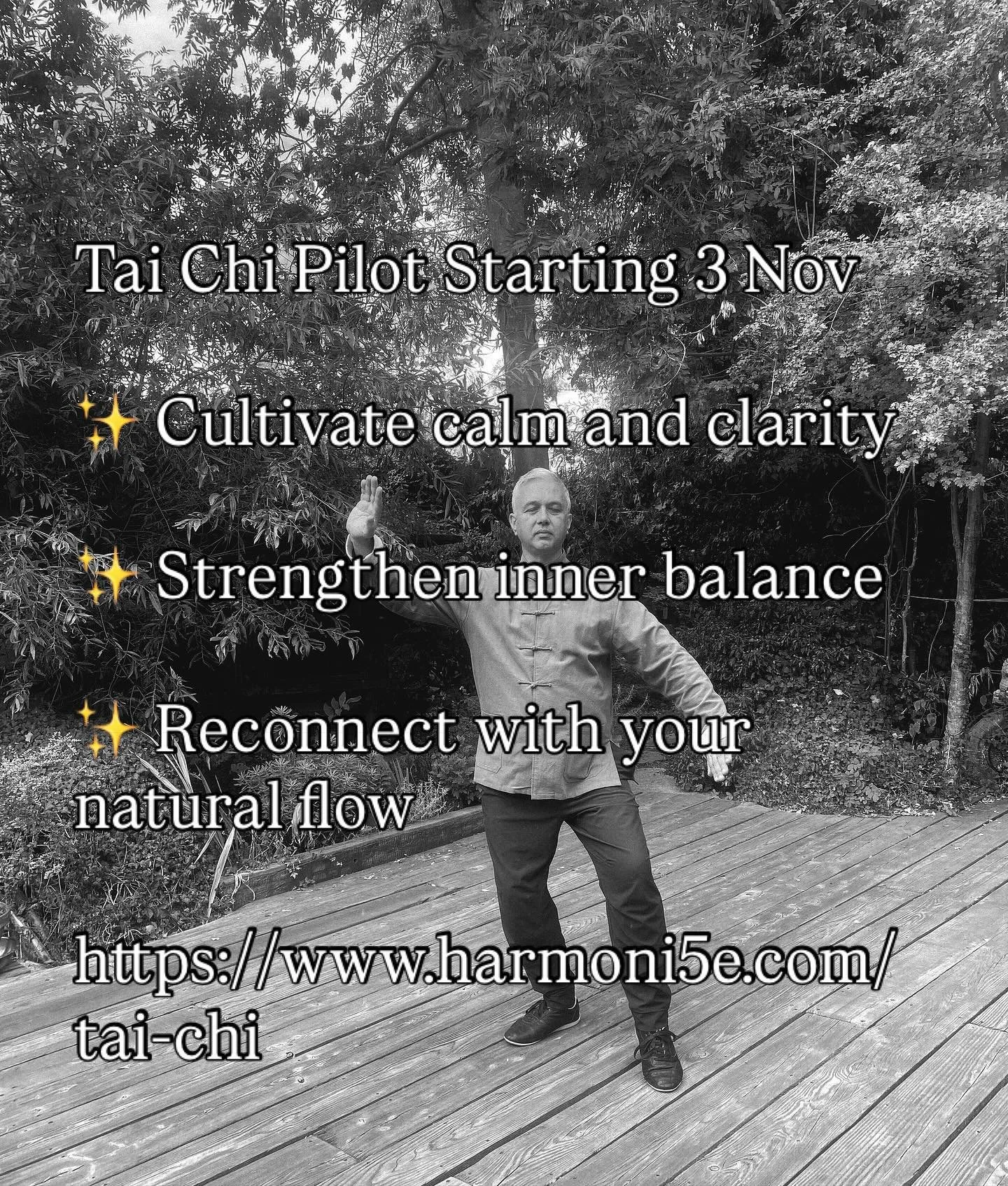 How to conserve your energy with TaiJi #mindfulnessretreat #taijiqigong #leamington_spa