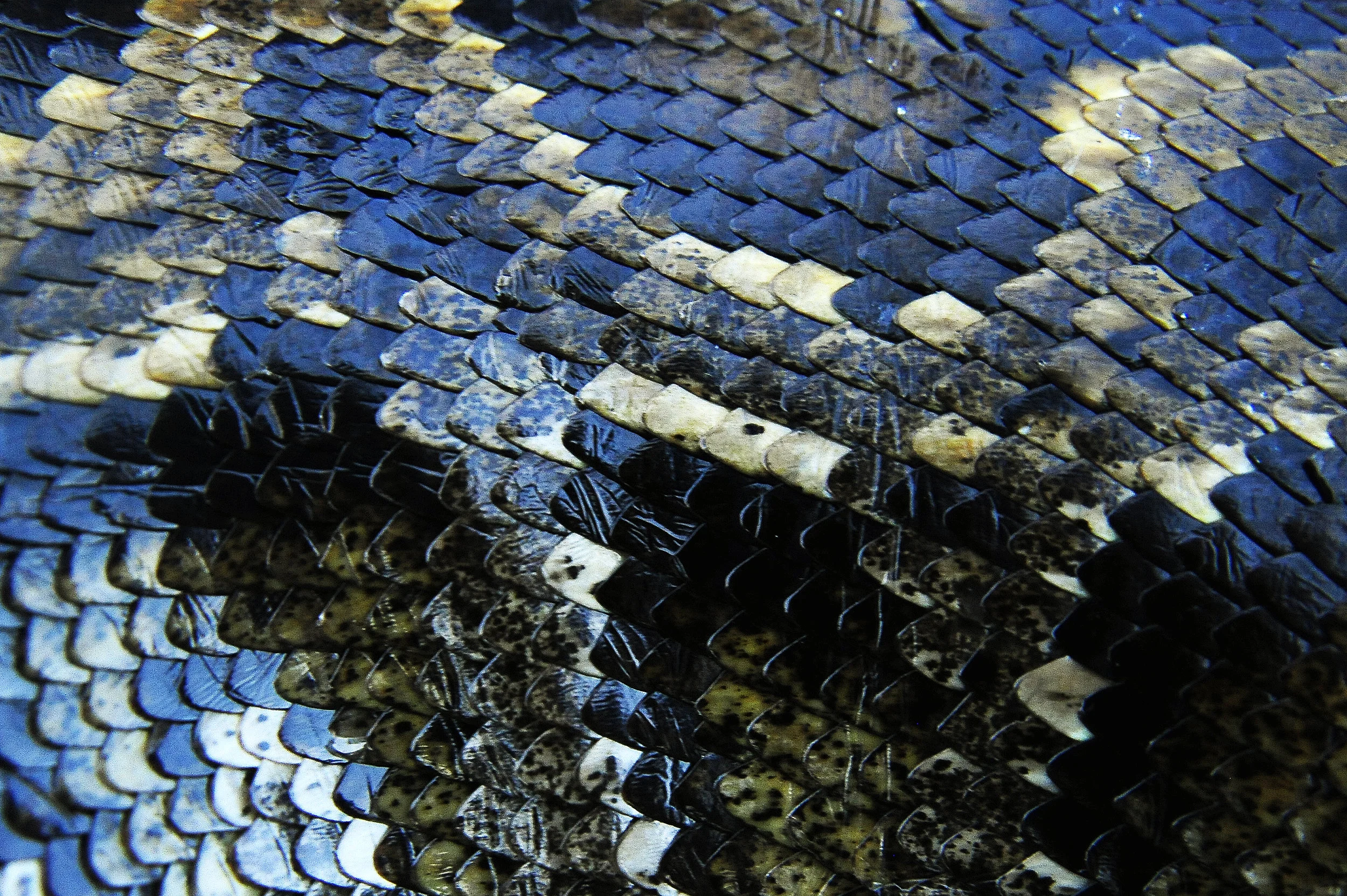  Howard Golin, right, Executive Director of the Wounded Warriors of South Florida poses for a portrait with Chairman of the Board of Directors, retired Army Lt. General Robert Chelberg, left, at the Wounded Warriors of South Florida facility in Lake 