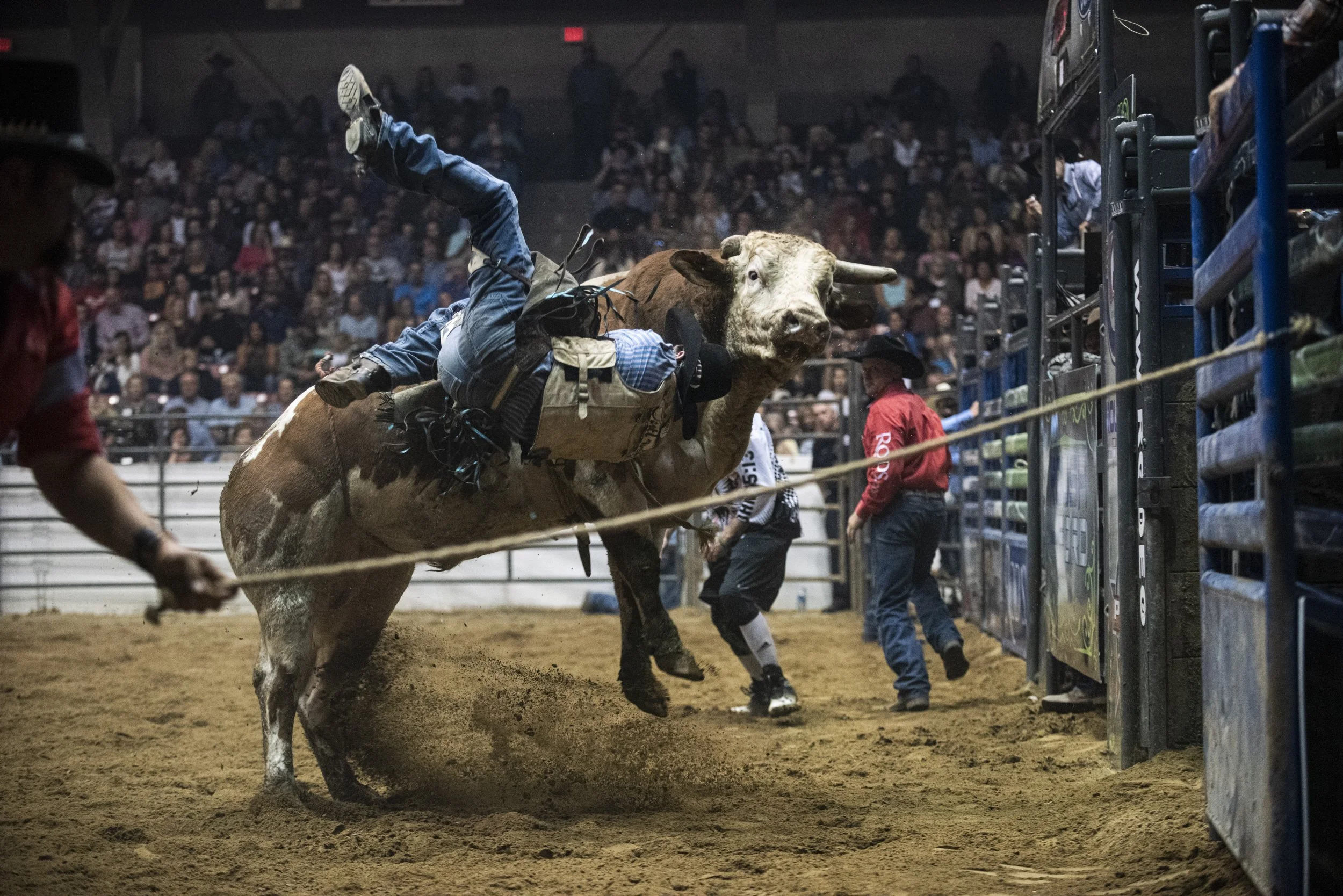 The Rodeo Boys_Loose_Edit