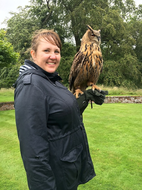 Hornuglen Elsa gør sig lang og ser bister ud, fordi der kommer en gartner forbi med en tilsyneladende meget farlig trillebør. Foto: Andrea Bak
