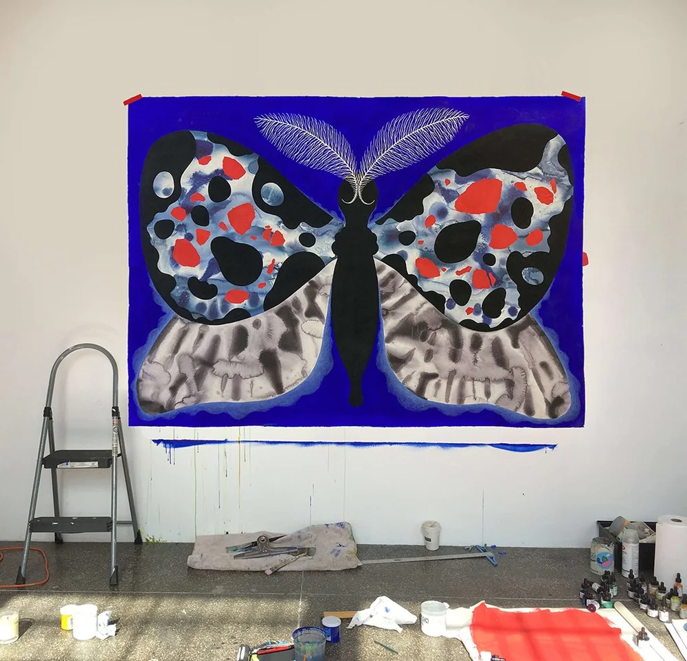 lepidoptera1.JPG