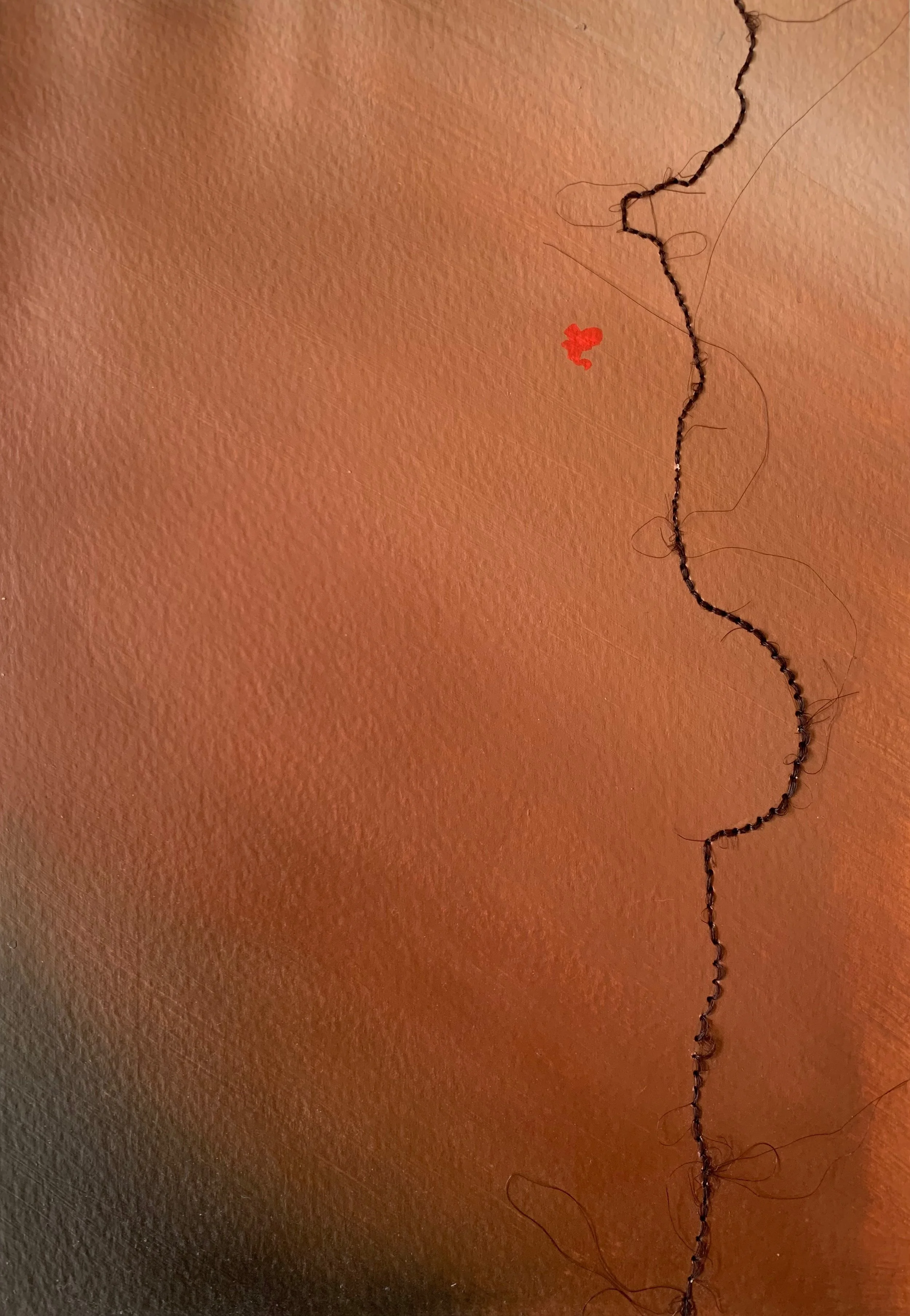 Hottentott Hairline, 2003