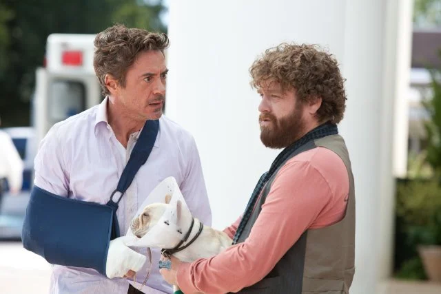 MOVIE REVIEW: Due Date