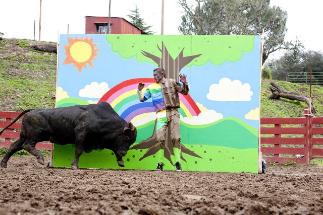 MOVIE REVIEW: Jackass 3D