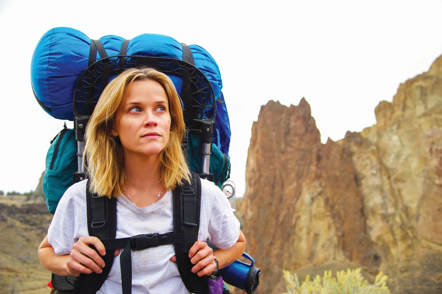 MOVIE REVIEW: Wild