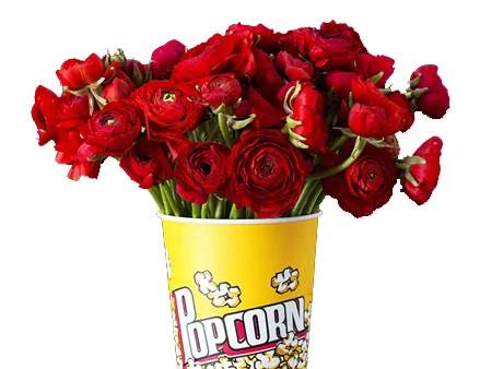 COLUMN: 2016 Spring Movie Preview